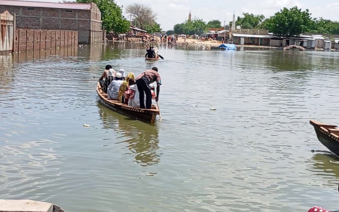 Les Inondations à N’Djamena au Tchad : Quels impacts et perspectives face aux changements climatiques.